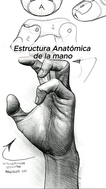 Drawing Realistic Tutorial ✍️