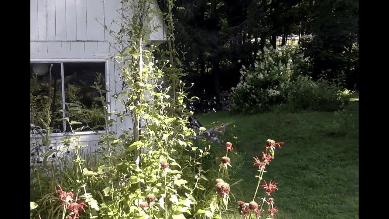 Practical magic. Permaculture vermont