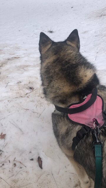 Thursday February 27, Thank him for all he has done.