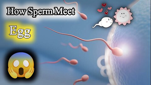 "How Sperm Meets Egg: The Incredible Journey of Life! 🧬✨"