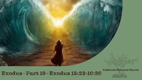 Exodus - Part 19 - Exodus 15:22-16:36