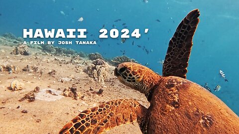 Hawaii 2024 - A Film by Josh Tanaka