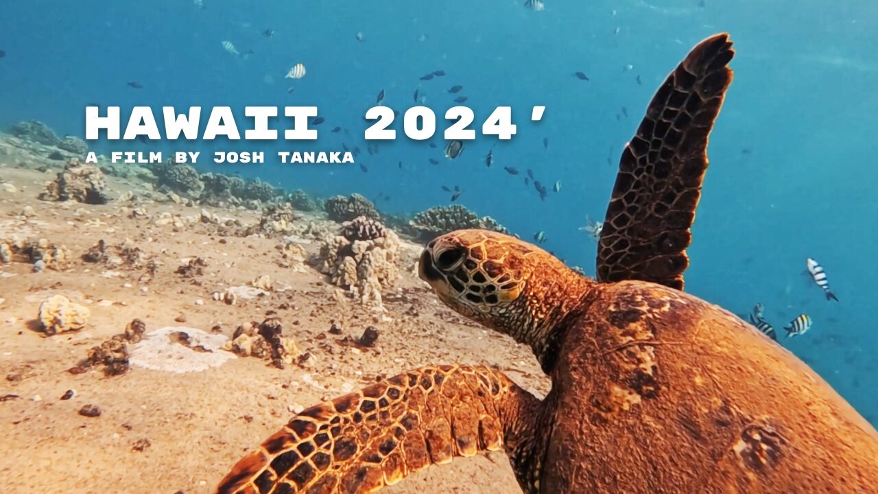Hawaii 2024 - A Film by Josh Tanaka