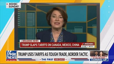 Montage: Dems Really Don't Like Trump's Tariffs