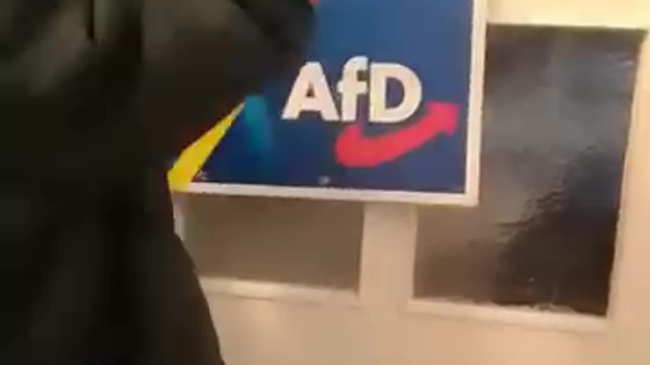 AFD Plakate Zerstörung