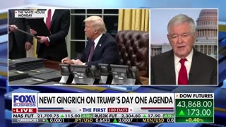 Newt Gingrich Trump 'has to get control' of this to move agenda forward