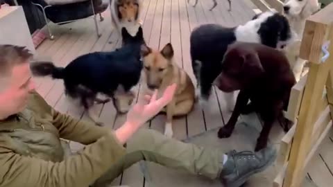 Where’s the ball? 😂