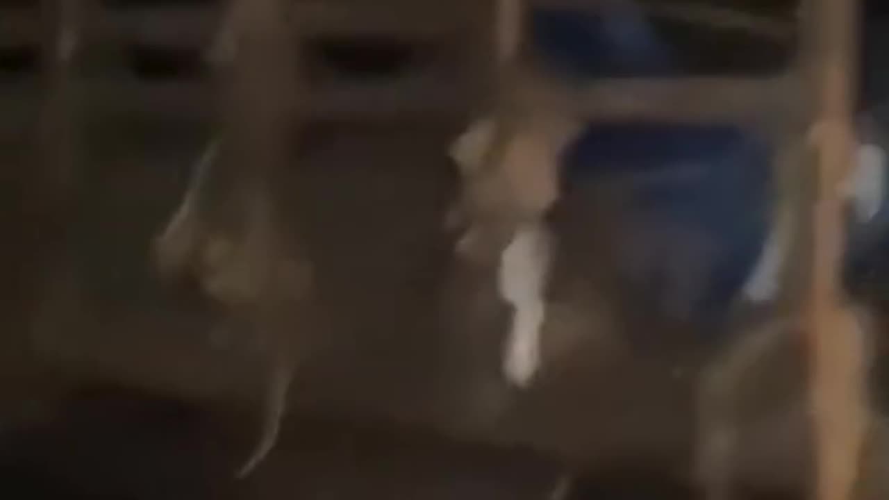 EMBOSCADA CONTRA EL EJÉRCITO NACIONAL