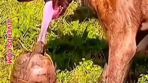 Don't even start what you can't finish 😘😅😅😅🤣😅😅🤣 funny big fail.