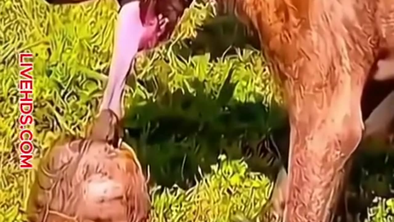 Don't even start what you can't finish 😘😅😅😅🤣😅😅🤣 funny big fail.
