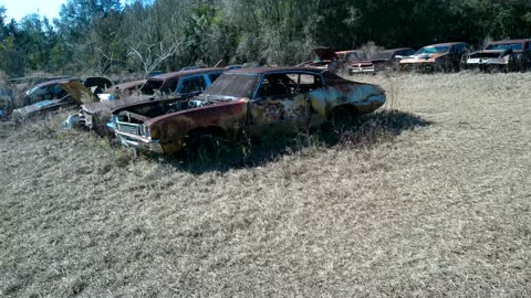 Junkyards Walk Buick Grand Sport and 40s to 70s Buick Junkyard at Old Gold