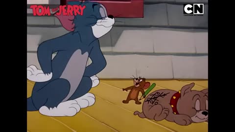 Tom & Jerry