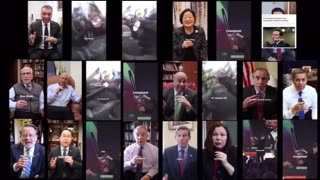 22 Democrat Senators have published the same embarrassing video.