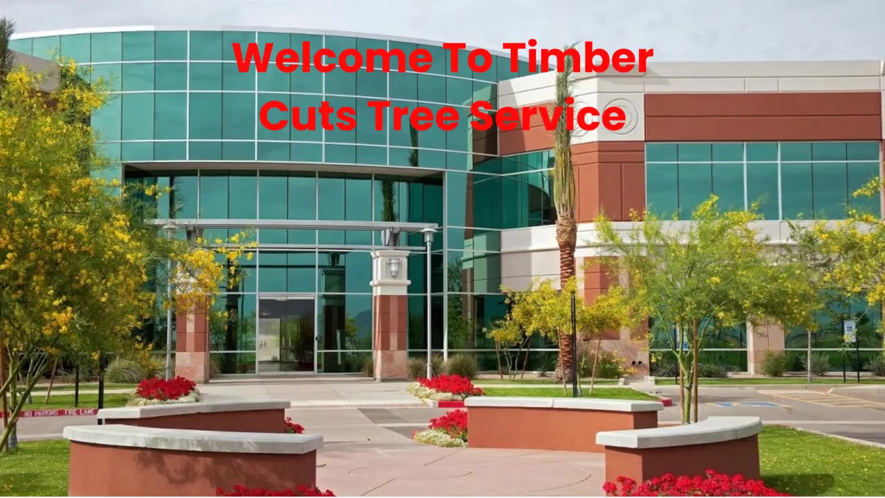 Timber Cuts Tree Service : #1 Tree Trimming in Kaysville, UT | (801) 335-9650