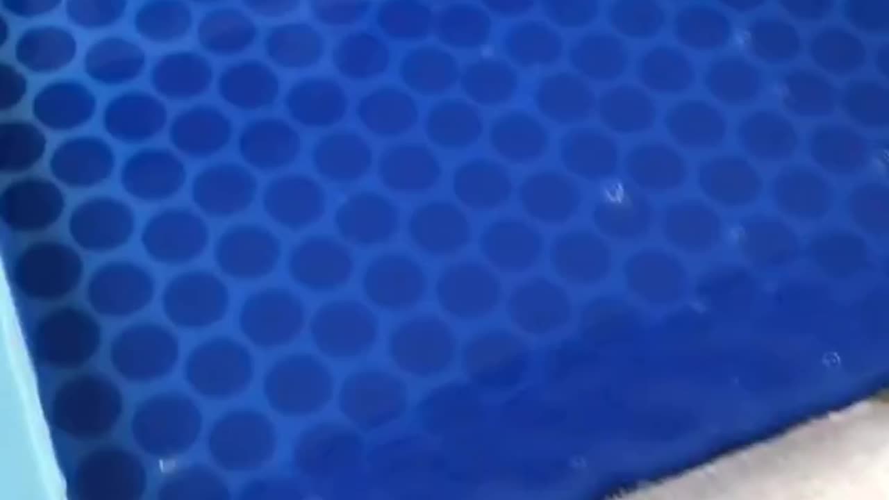 🔵 Blue Liquid Flow ASMR 💦 | Mesmerizing Fluid Art