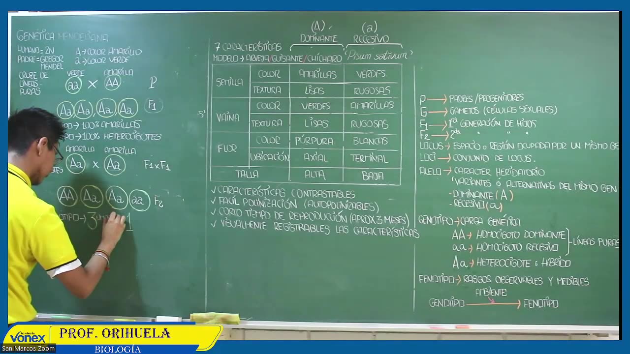 VONEX SEMIANUAL 2023 | Semana 13 | Biología S1