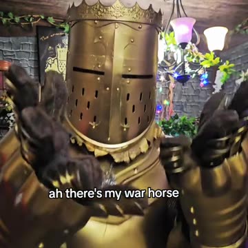 War horse 🐎🏇🐴