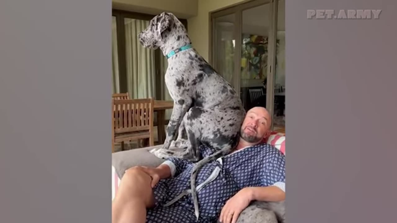 World's FUNNIEST Viral Dogs EXPOSED!🐶🐶🐶 2025 edition