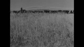 Library Stock Shot #847 (1900s Original Black & White Film)