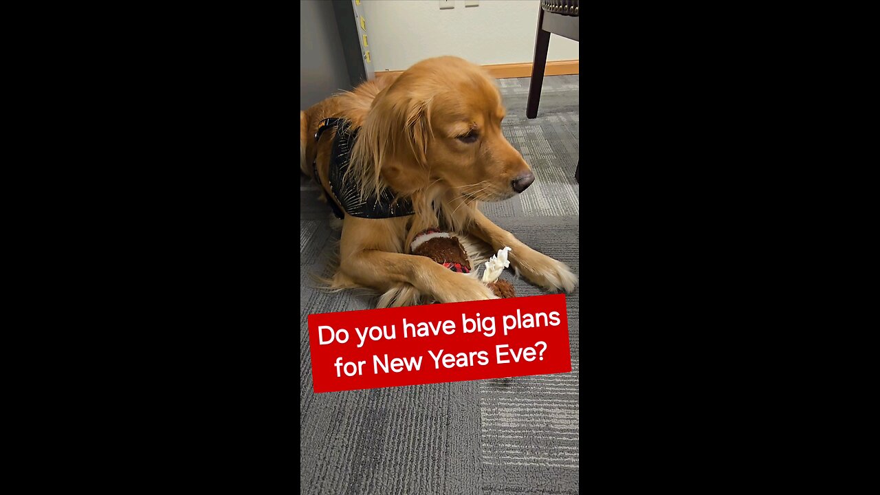 Do you have big plans for New Years Eve?