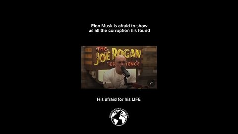 Elon Musk Spoke About What He Found On The Joe Rogan Podcast