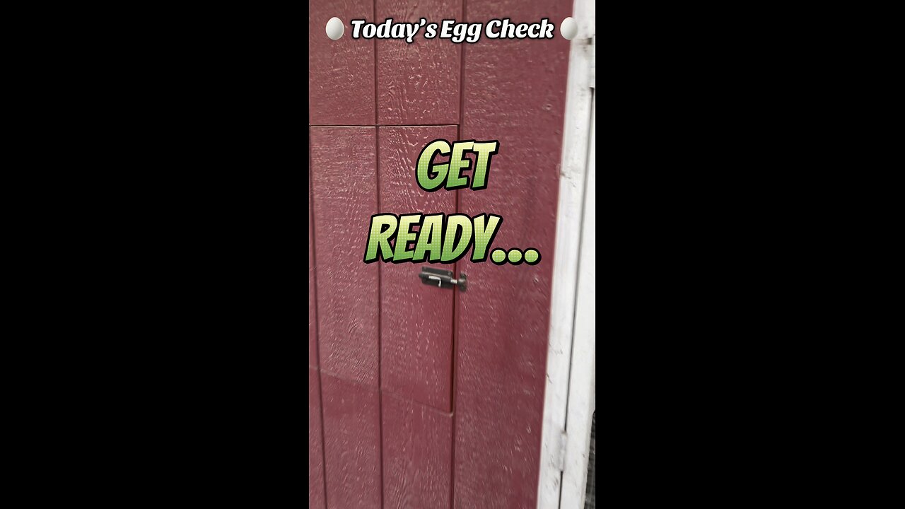 🥚 Today’s Egg Check! 🥚