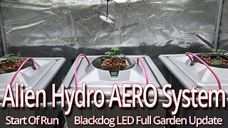 Alien Hydro AERO System Start Of Run, Blackdog LED Full Garden Update