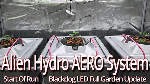 Alien Hydro AERO System Start Of Run, Blackdog LED Full Garden Update