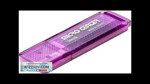 INLAND Micro Center SuperSpeed 256GB USB 3.0/USB3.1 Gen1 Flash Drive Gum Size Review