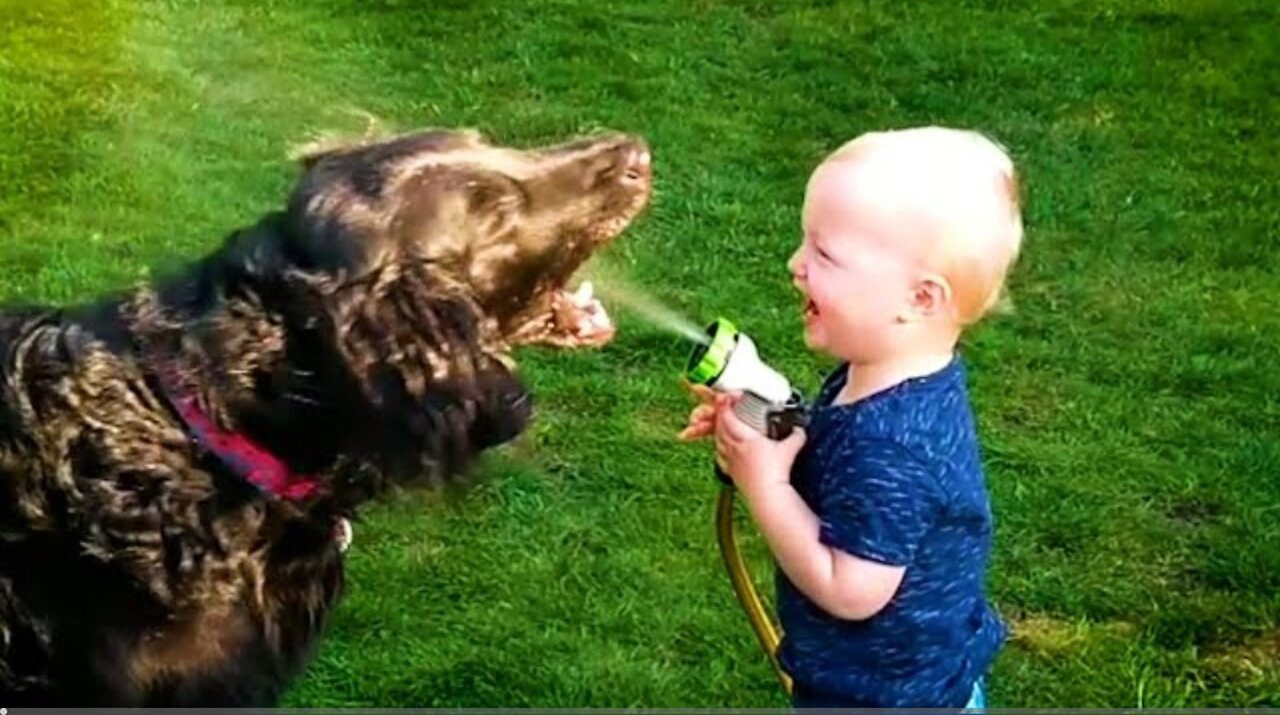 20 Minutes of HILARIOUS Babies Laughing With Pets 😹 _ Kids and Animals 💕