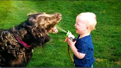 20 Minutes of HILARIOUS Babies Laughing With Pets 😹 _ Kids and Animals 💕