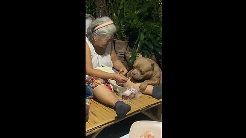 GRANDMA love ❤️🦮