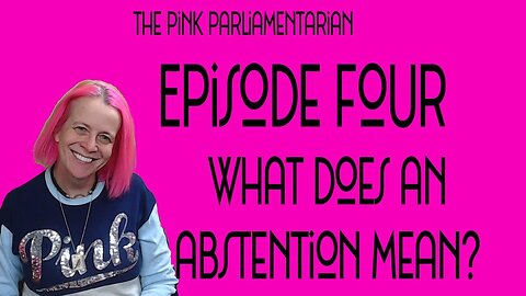 Abstentions? - The Pink Parliamentarian Ep. 4