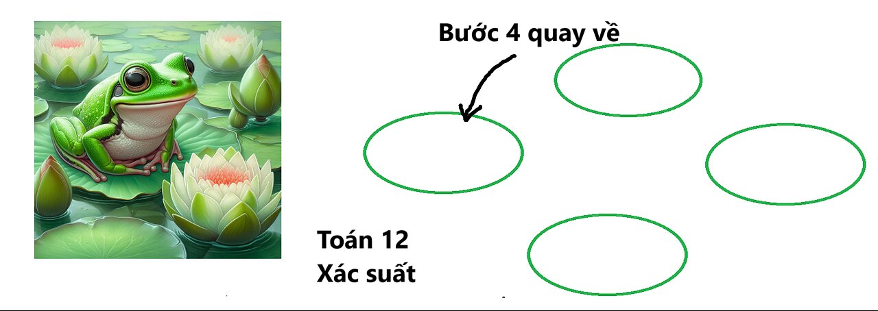 Toán 12: Một con ếch ngồi trên một lá sen và có 3 lá sen xung quanh. Tính xác suất sau 4 bước nhảy?