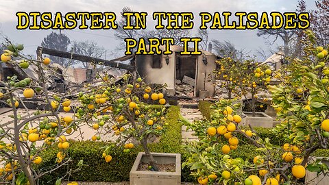 Disaster in the Palisades - Part II