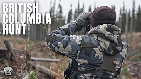 Bear and Deer Hunt in BC