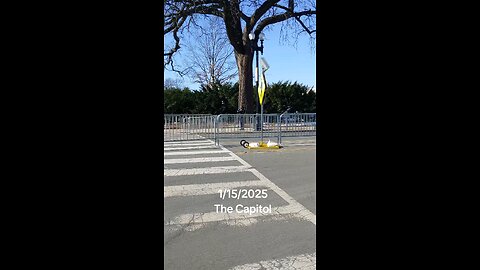 The Capitol 1/15/2025