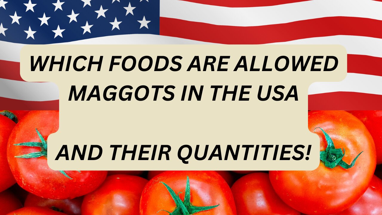 Which foods are allowed maggots in the USA