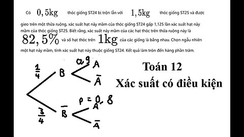 Toán 12: Có 0, 5kg thóc giống ST24 bị trộn 1 lẫn với 1,5kg thóc giống ST25 và được gieo trên một