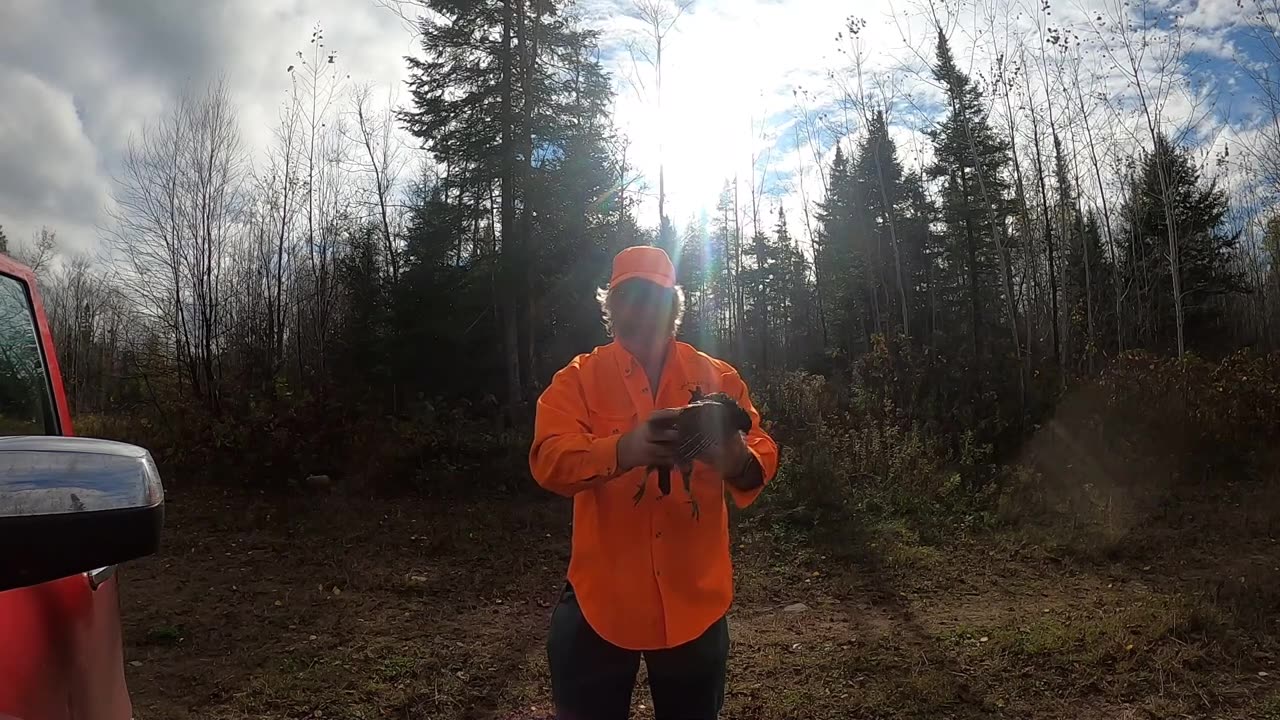 Wisconsin 2021 Grouse Hunting Ace Episode 1