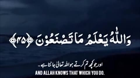 Beshak Subahanallah ♥️✨🕊️💯