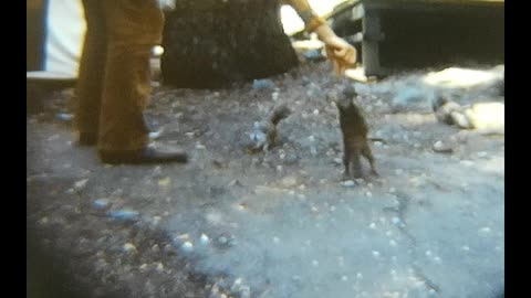 Yosemite National Park 1973