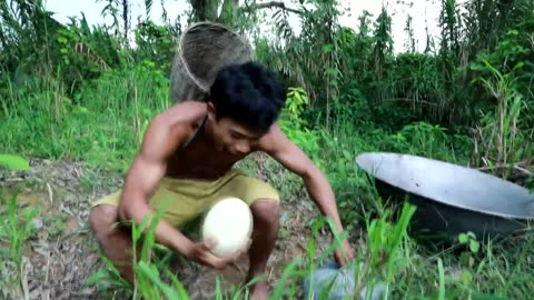 survival in the rainforest with This area is rich life in Ostrich - cooking Ostrich Egg with Pumpkin