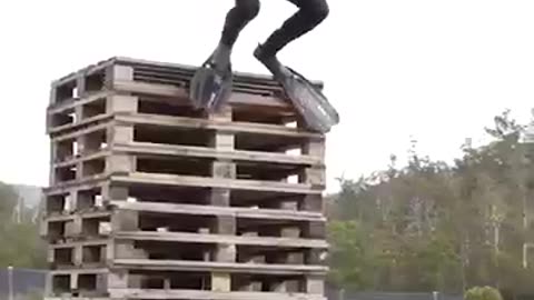 If animals did Parkour