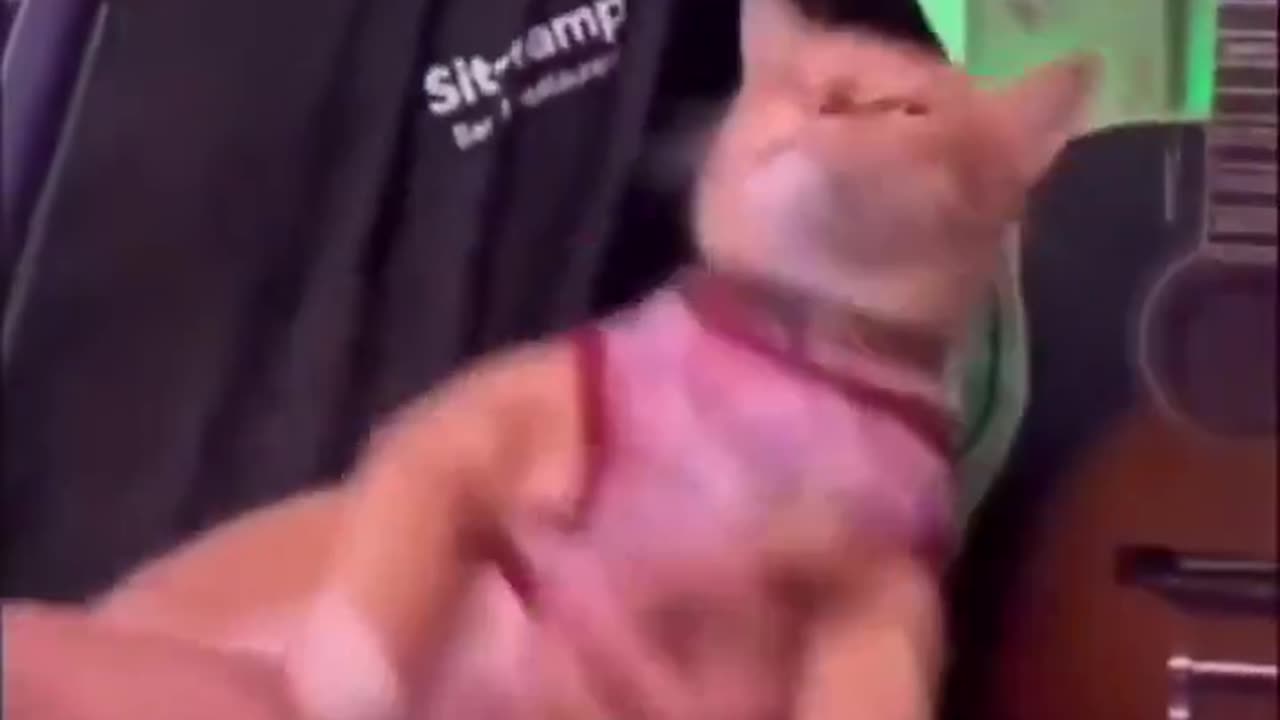 bro accepted his fate