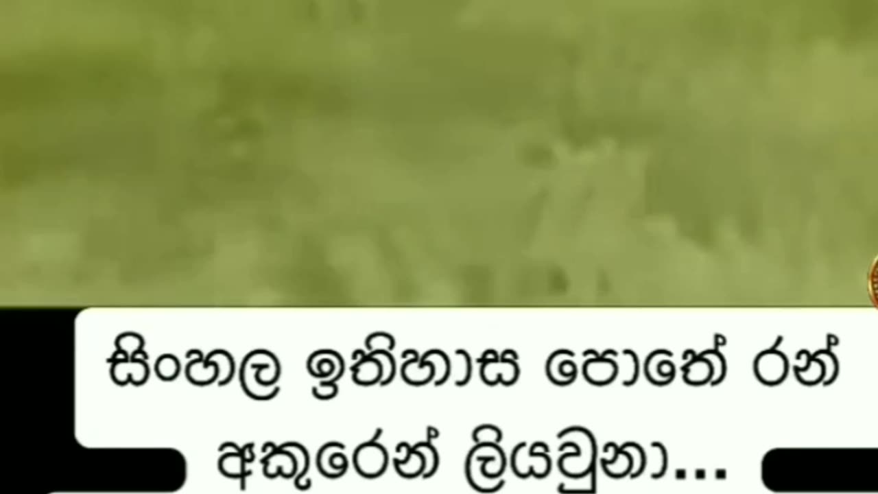 Elephant scrap funniest to bird