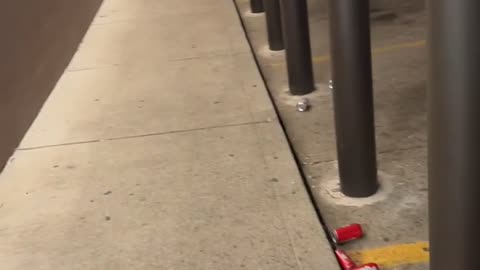 Alleged Beer Thief Caught on Camera