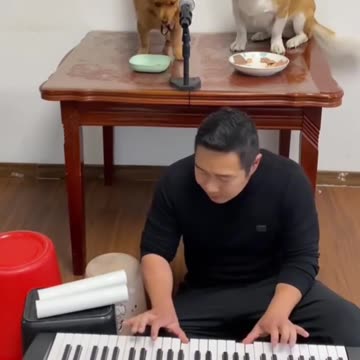 Star dog👍😜😂😂❤️‍🔥