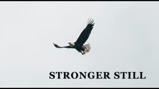 Pray USA, 1/29/25 Stronger Still