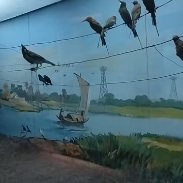 Majestic Birds of the Sky